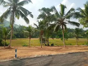 කඩවත නගරයට ආසන්නව ඉඩමක් විකිණීමට