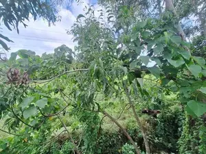 New House for Sale in Athurugiriya