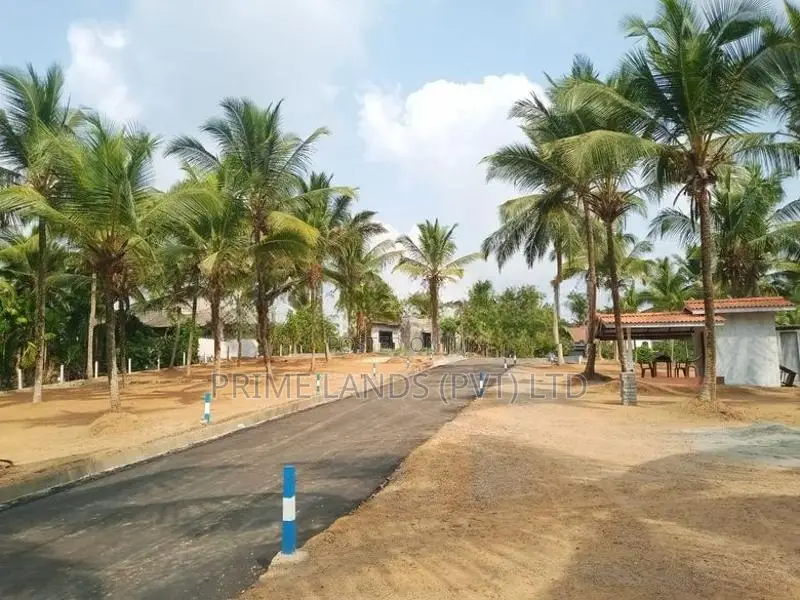 කඩවත නගරයට ආසන්නව ඉඩමක් විකිණීමට