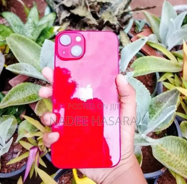 Apple iPhone 13 (Used)