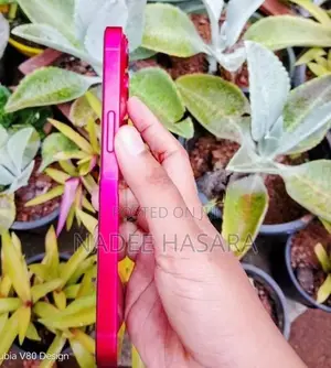 Apple iPhone 13 (Used)