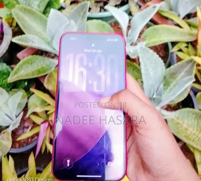 Apple iPhone 13 (Used)