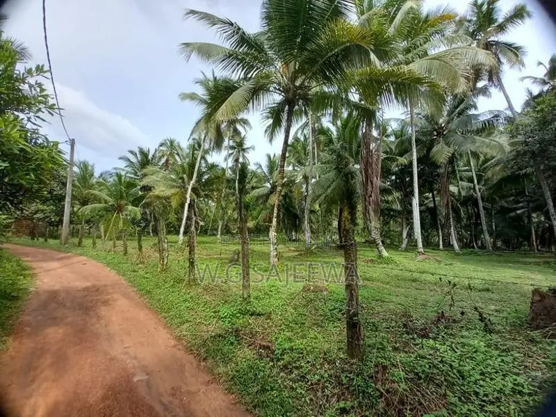 Land Sale Minuwangoda Kalawana