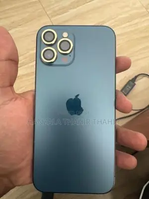 Apple iPhone 12 Pro Max (Used)