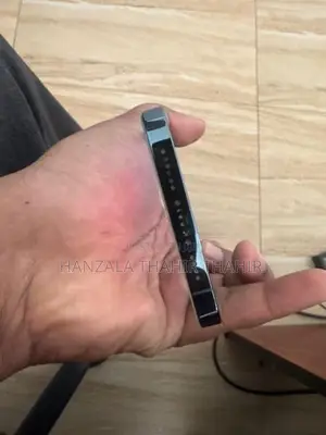 Apple iPhone 12 Pro Max (Used)
