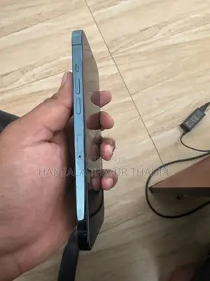 Apple iPhone 12 Pro Max (Used)