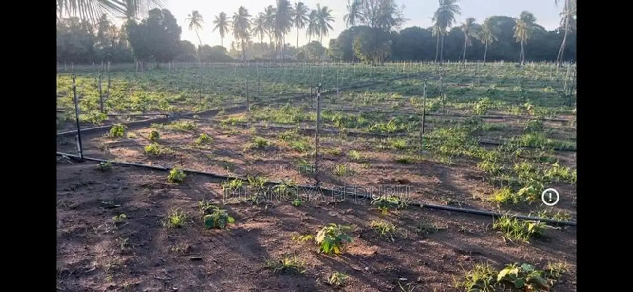 Nilaveli Beach Front Land for Sale