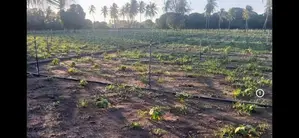 Nilaveli Beach Front Land for Sale