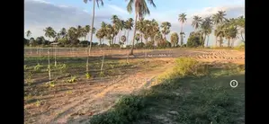 Nilaveli Beach Front Land for Sale