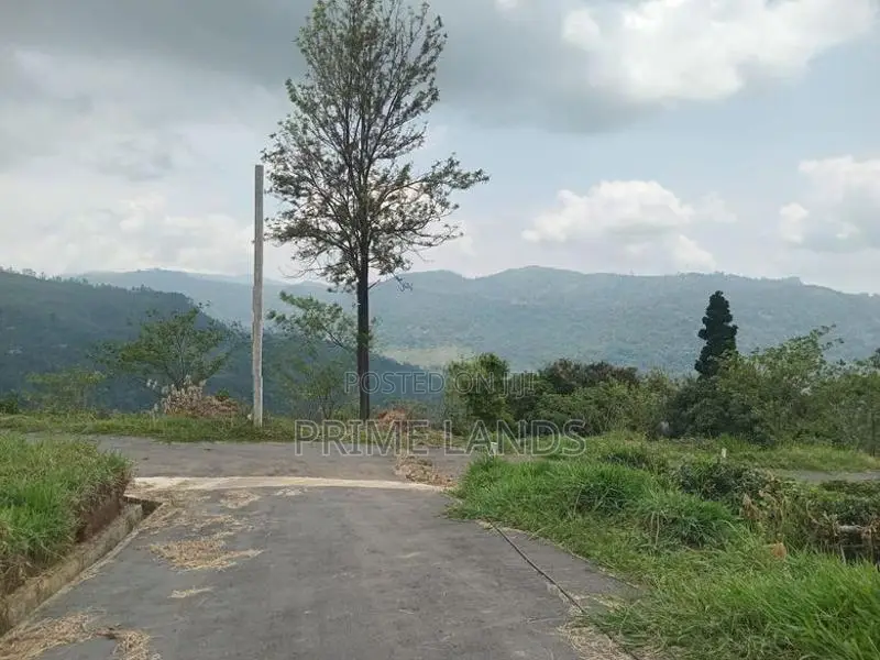 Land for Sale in Nuwaraeliya