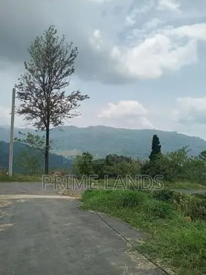 Land for Sale Nuwara Eliya Road
