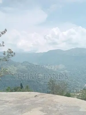 Land for Sale in Nuwaraeliya