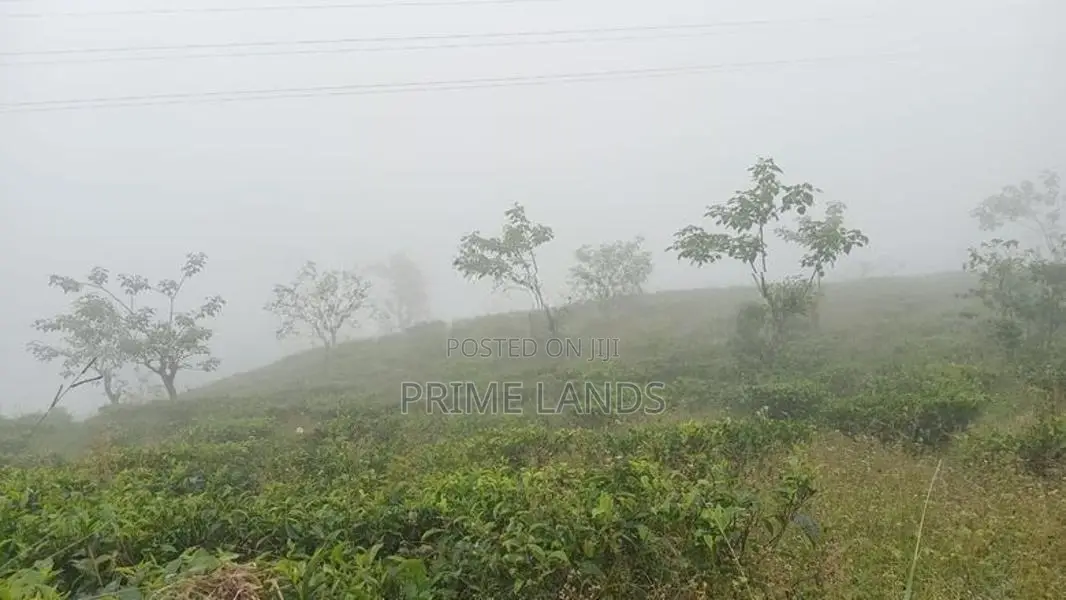 Land for Sale Nuwara Eliya Road
