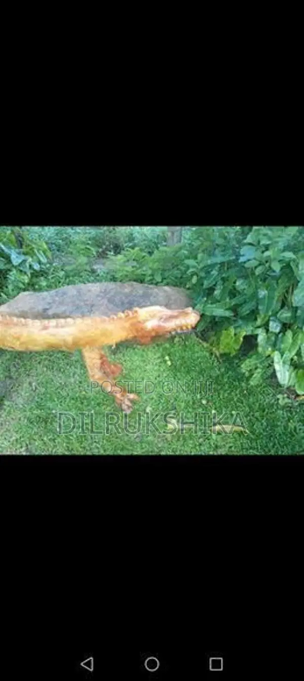 Wooden Crocodile Bench