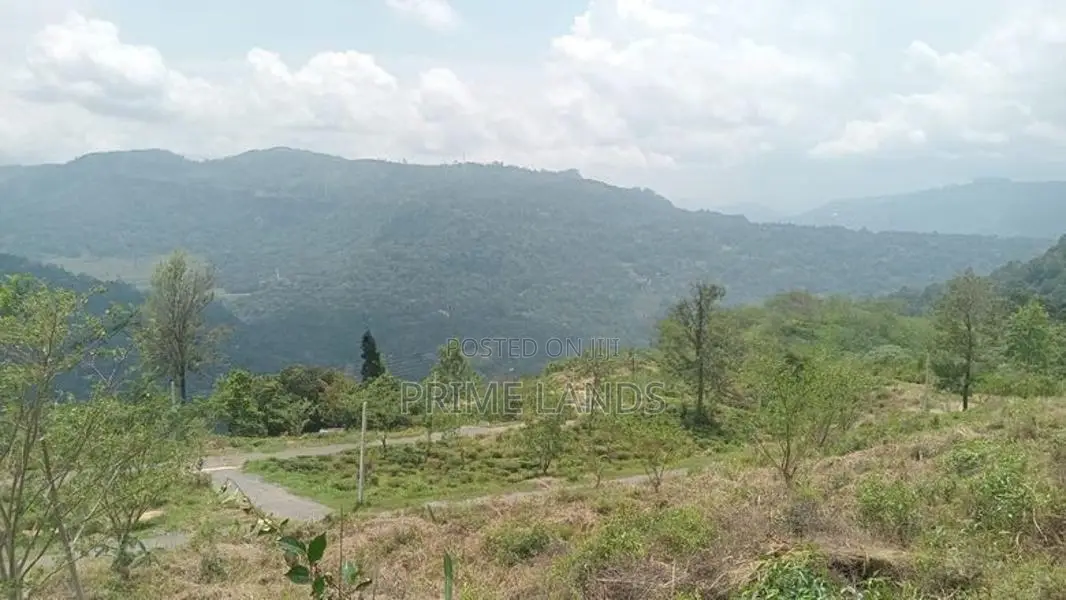 Land for Sale Nuwara Eliya Road