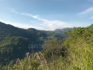 Land for Sale Kumbalwela Ella