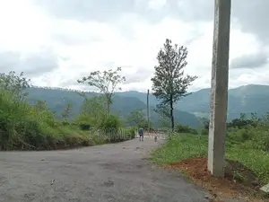 Land for Sale Nuwara Eliya Road