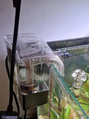 Planted Fish Tank