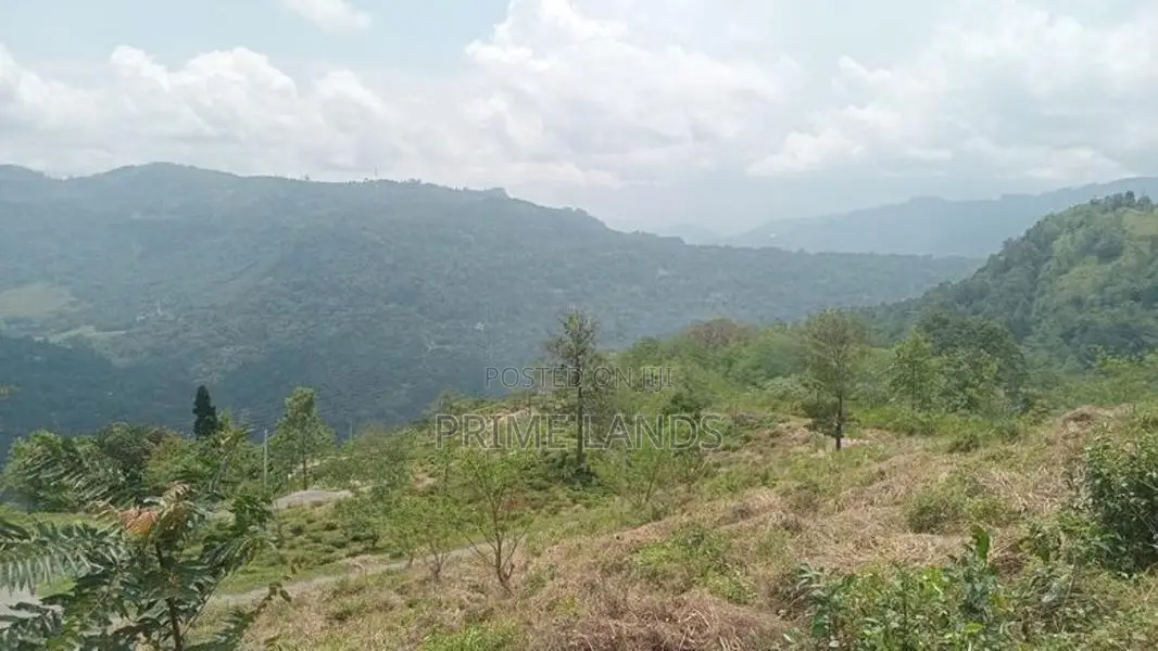 Land for Sale Pundaluoya