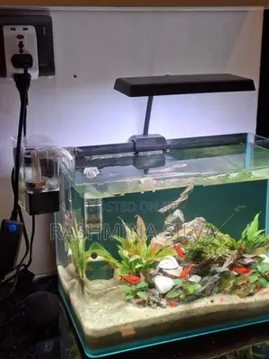 Planted Fish Tank