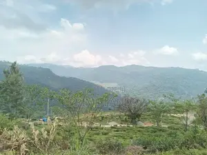 Land for Sale Nuwara Eliya