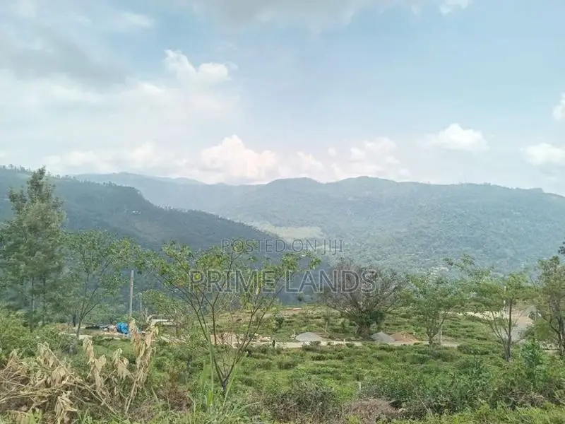Land for Sale Nuwara Eliya