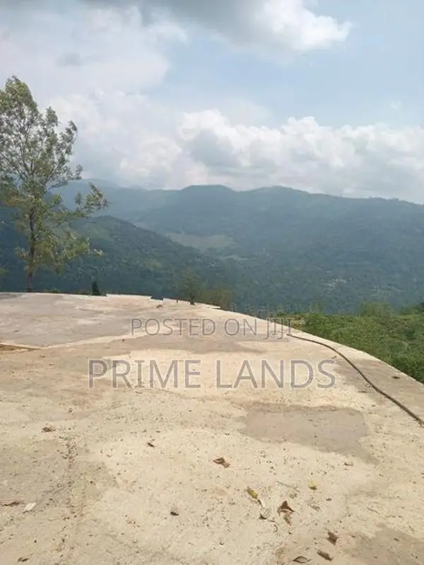 Land for Sale Pundaluoya