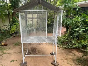 Love Bird Cage