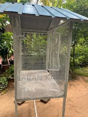Love Bird Cage