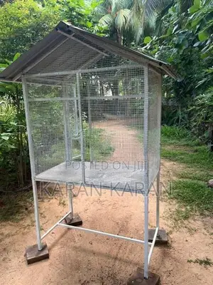 Love Bird Cage