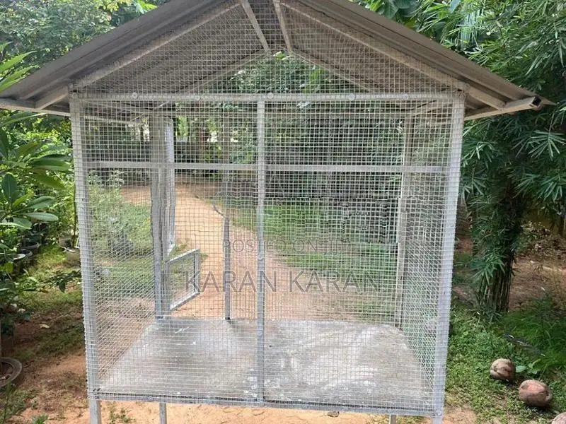 Love Bird Cage