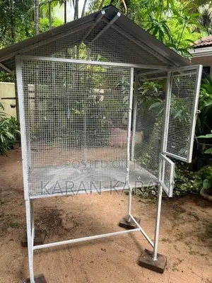 Love Bird Cage