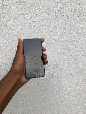 Apple iPhone 12 mini (Used)