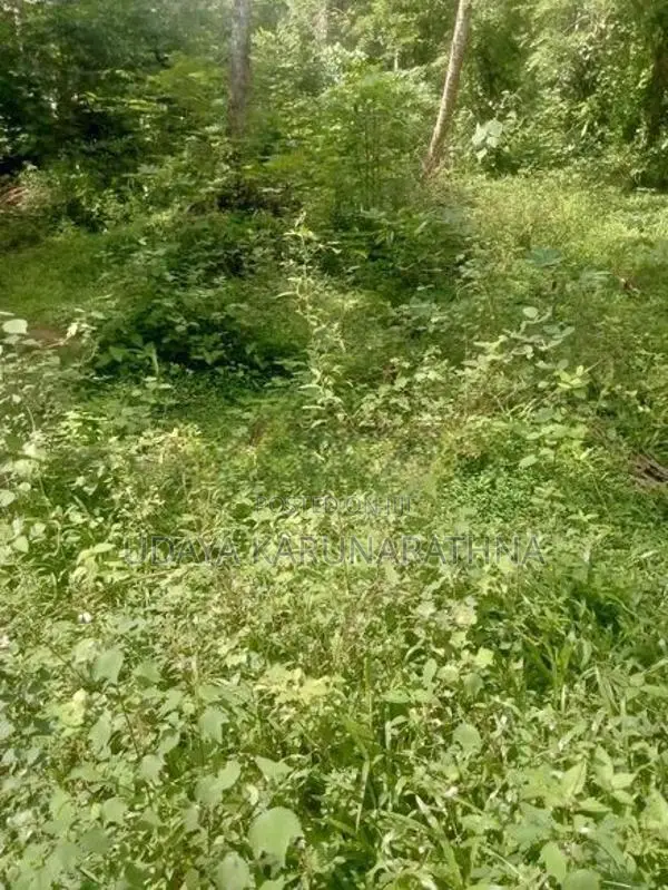 Land for Sale වැලිපිල්ලෑව