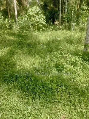 Land for Sale වැලිපිල්ලෑව