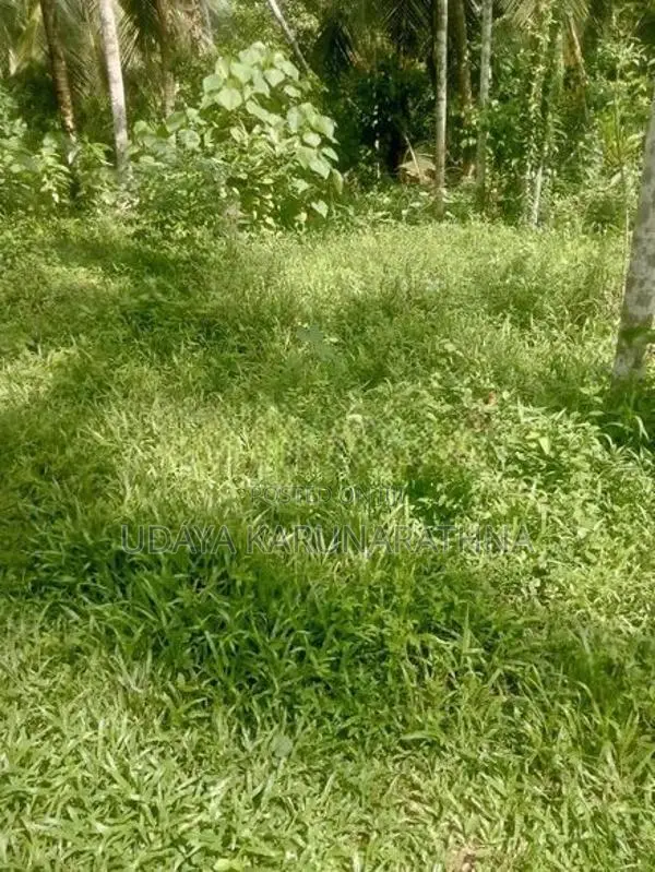Land for Sale වැලිපිල්ලෑව