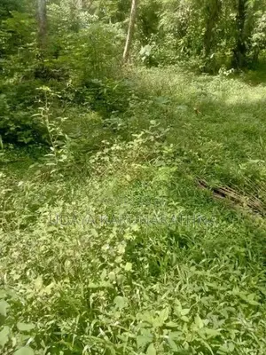 Land for Sale වැලිපිල්ලෑව
