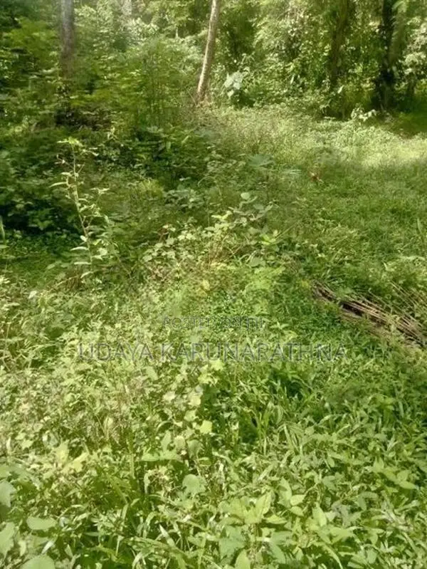 Land for Sale වැලිපිල්ලෑව