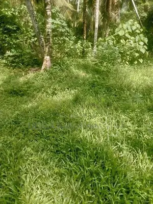Land for Sale වැලිපිල්ලෑව