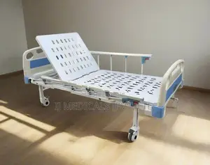 Single Function Type Bed