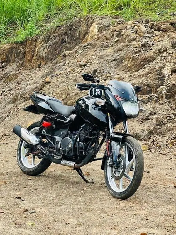 Bajaj Pulsar 150 2010