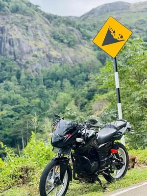 Bajaj Pulsar 150 2010