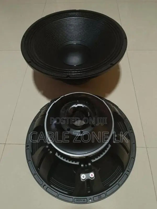 NR 18WF835 18 Inch Professional Speaker