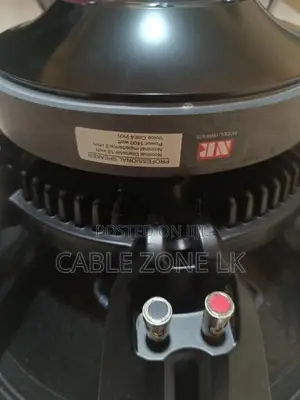 NR 18WF835 18 Inch Professional Speaker