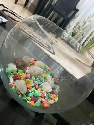Fish Tank