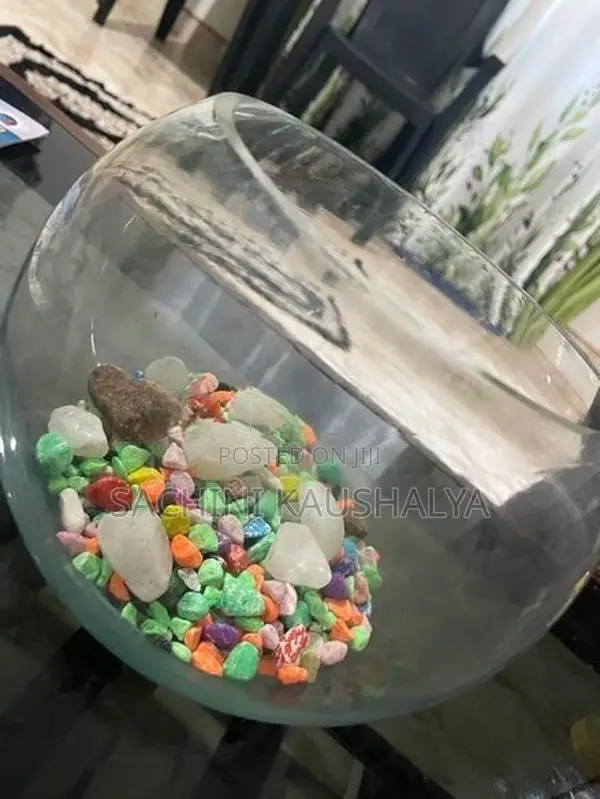 Fish Tank