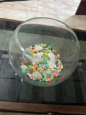 Fish Tank