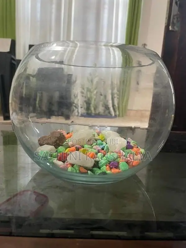 Fish Tank