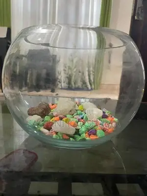Fish Tank