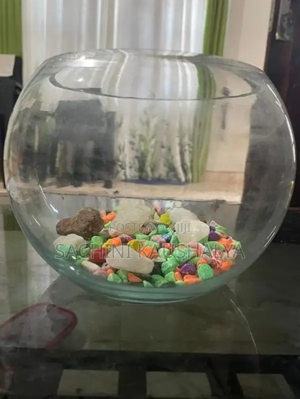 Fish Tank